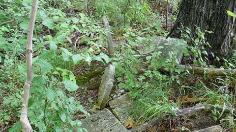 The Forgotten Ones photo 2