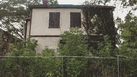 Burnt - IMG_4711.jpg