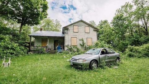 Photo from Mosquitos