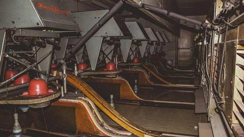 Martins - IMG_4766.jpg