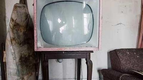 Photo from Angry Raccoons 