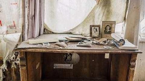 Photo from Angry Raccoons 