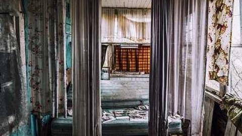 Photo from Angry Raccoons 