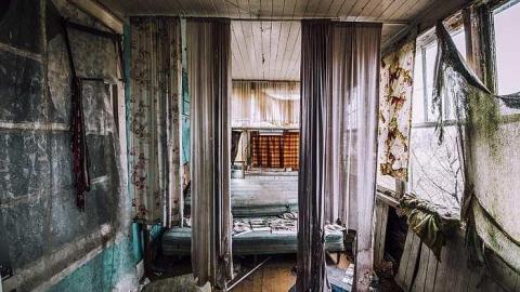 Photo from Angry Raccoons 