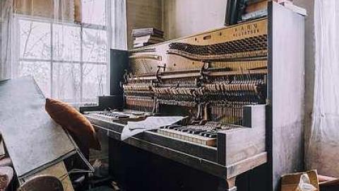 Angry Raccoons  - _MG_2195-HDR.jpg