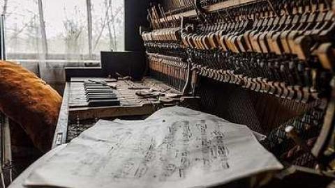 Angry Raccoons  - _MG_2208.jpg