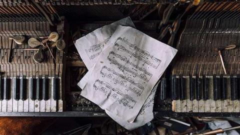 Angry Raccoons  - _MG_2215.jpg