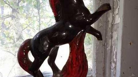 Italian Stallion photo 2