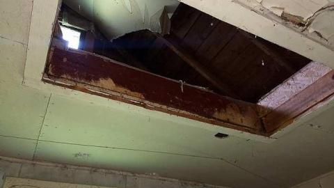 Italian Stallion - Italian-Stallion7.jpg