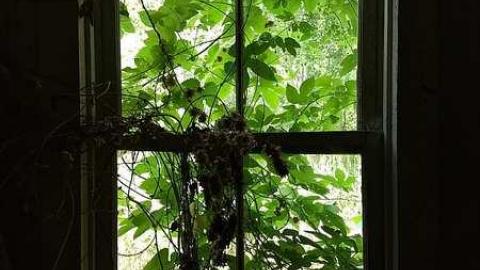 Italian Stallion - Italian-Stallion9.jpg