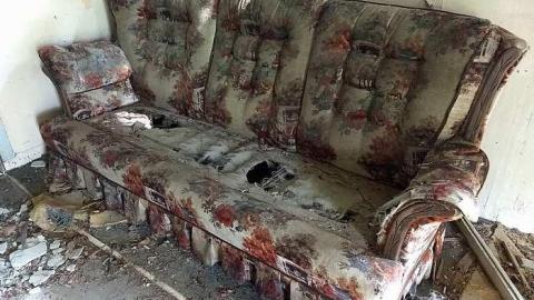 Italian Stallion photo 3