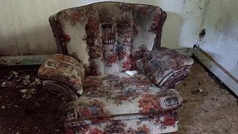 Italian Stallion - Italian-Stallion13.jpg