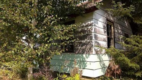 Italian Stallion - Italian-Stallion14.jpg