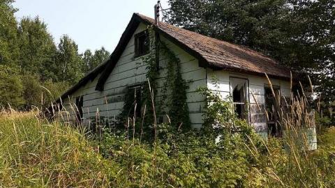 Italian Stallion - Italian-Stallion15.jpg