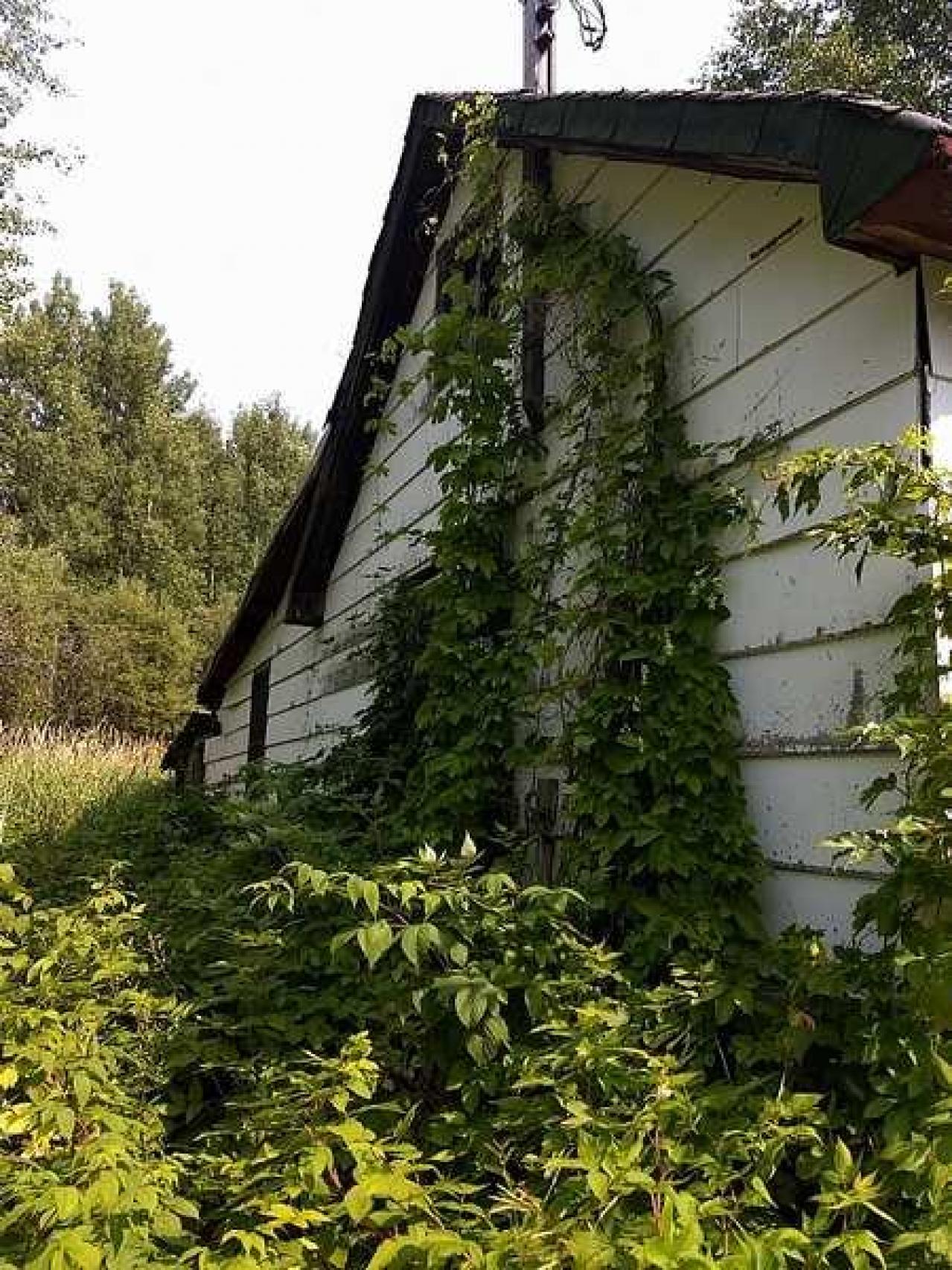 Italian Stallion - Italian-Stallion16.jpg