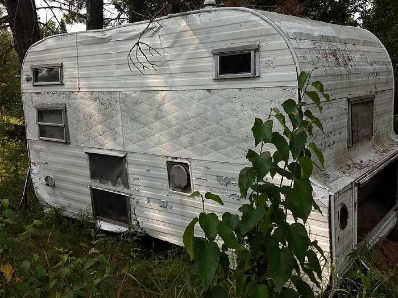 Italian Stallion - Italian-Stallion17.jpg