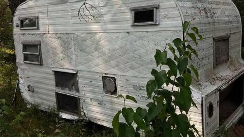 Italian Stallion photo 5