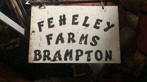 August 2018 - 39945370_685463501806205_3631442153537798144_n.jpg