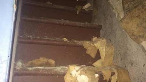 August 2018 - 39864481_270762060315002_1027597425516216320_n.jpg