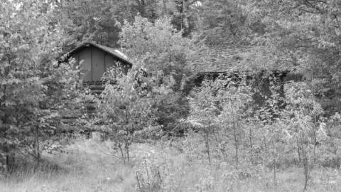 Agawa Lodge - Agawa-Provincial-Park-lodge18.jpg