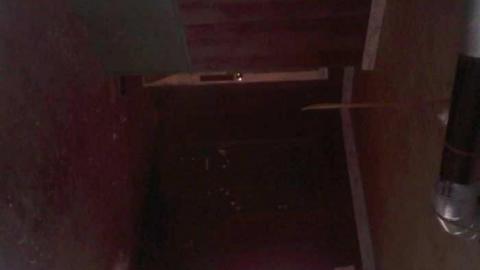 Photo from Fall 2011