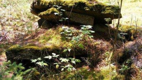 Neys POW - Neys-Nazi-POW-Camp6.jpg