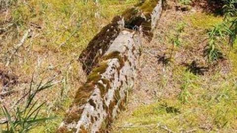 Neys POW - Neys-Nazi-POW-Camp7.jpg