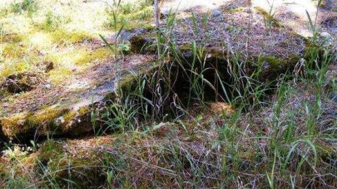 Neys POW - Neys-Nazi-POW-Camp8.jpg