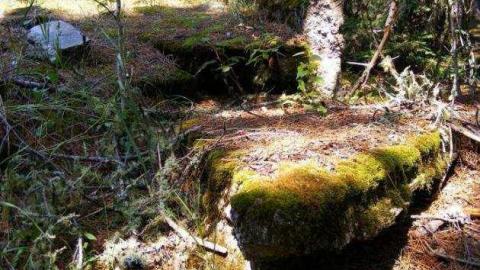 Neys POW - Neys-Nazi-POW-Camp9.jpg