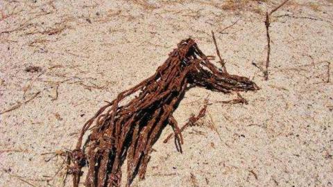 Neys POW - Neys-Nazi-POW-Camp1.jpg