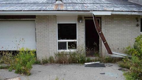 Bye's Manor Farm photo 3