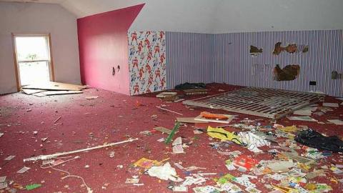 Bye's Manor Farm photo 2