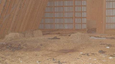 Barn - Byes-Manor-Farm41.jpg