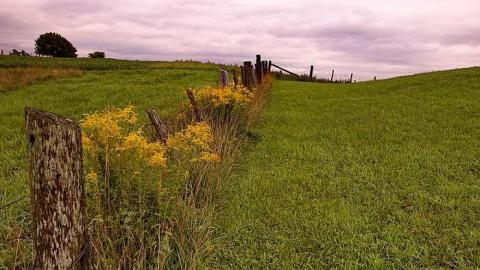 Smith Farm Cemetery - Kincardine, Ontario