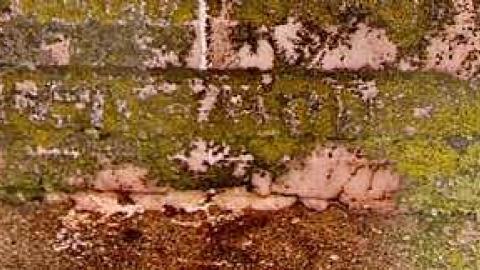 Final Farm - Smith-Farm-Cemetery2.jpg