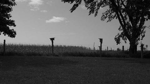 Photo from North Brant Pres. Cemetery