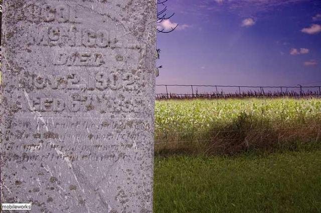 Hamlet Of Malcolm (ghost town) photo 3