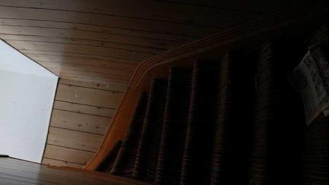 Gorgeous - IMG_3833.jpg