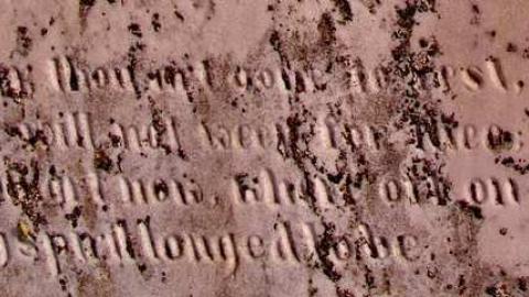 A Tender Mother Lieth Here - Jerusalem-Pioneer-Cemetery3.jpg