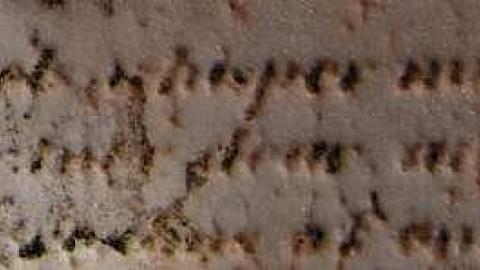 A Tender Mother Lieth Here - Jerusalem-Pioneer-Cemetery4.jpg