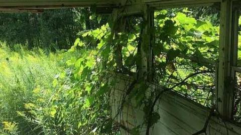 Photo from Into the Wild