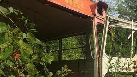 Photo from Into the Wild