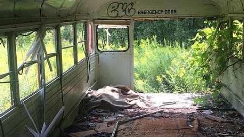 Into the Wild - Deepest-Darkest52.jpg