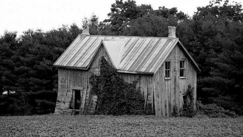 Cargil Carcass - oap add 004_5_6_BW Photographic.jpg