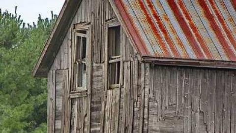 Cargil Carcass - oap add 017.jpg