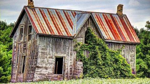 Cargil Carcass - oap add 020_1_2_Surreal 2.jpg