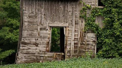 Cargil Carcass - oap add 032.jpg