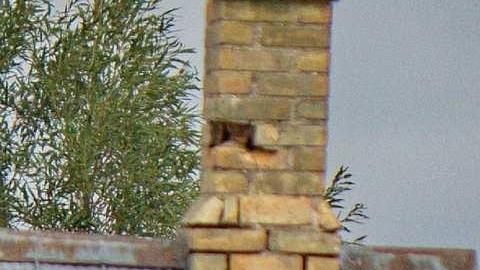 Cargil Carcass - oap add 033.jpg