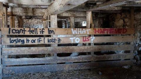 Nothing Lasts Forever '18 - Catherines-Farm99.jpg