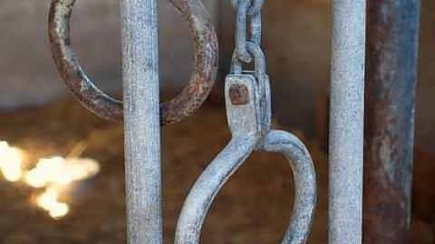 Photo from Nothing Lasts Forever '18